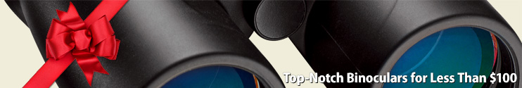 Top Notch Binoculars under 100 dollars