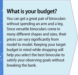 What is your budget?